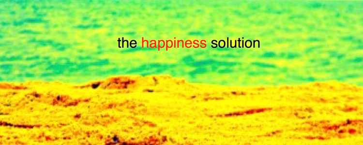 THE HAPPINESS SOLUTION